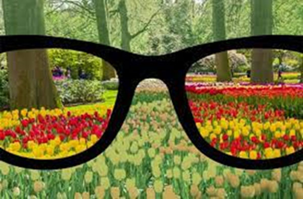 Las gafas que corrigen el daltonismo” y aparecen en decenas de